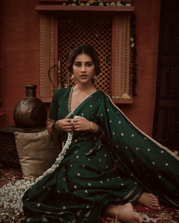 nabha natesh_teluguvox 3